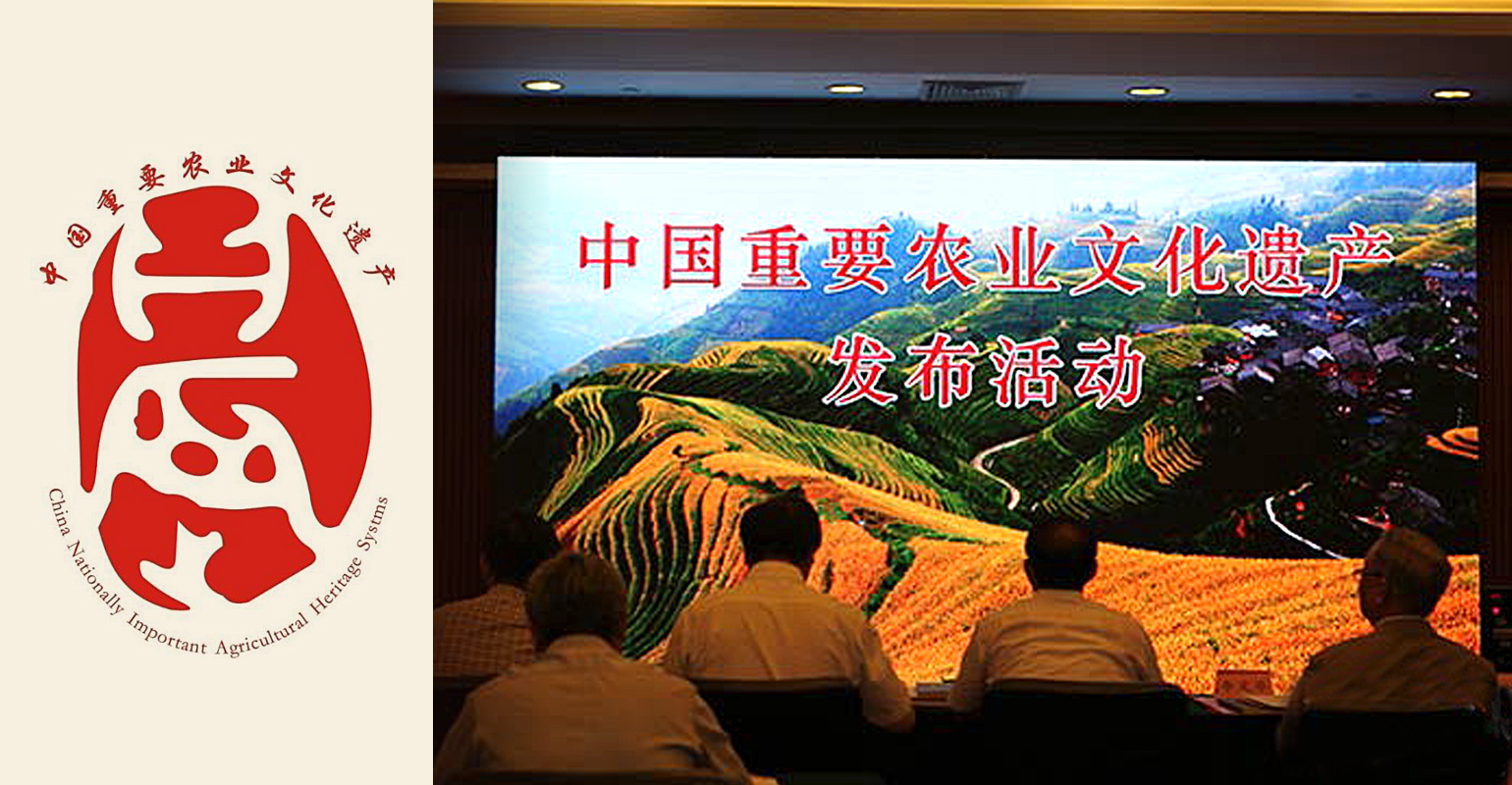 图4.jpg