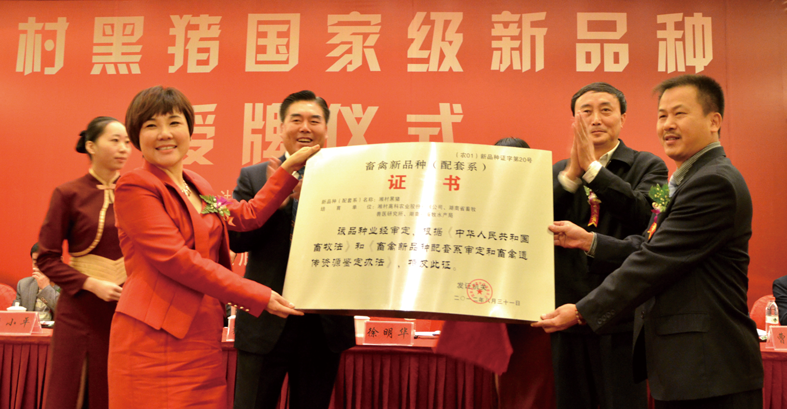 图2.jpg